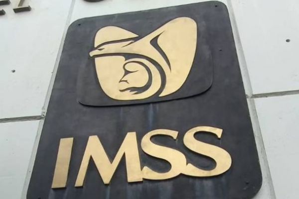 Testimonio de la Adquisición para Bienes Terapéuticos de los Grupos 010, 030 y 040, para el IMSS