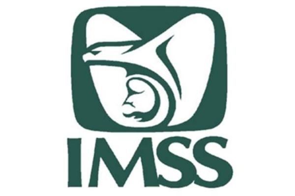 Testimonio de la Contratación para la Prestación de Servicios Complementarios a los Servicios Médicos para el IMSS