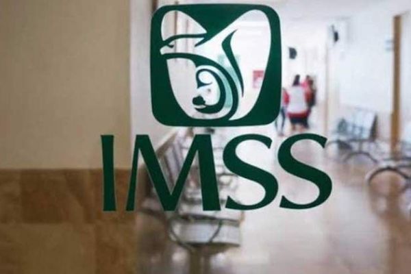 Testimonio de la Adquisición de equipo y mobiliario médico, 2019, para el IMSS