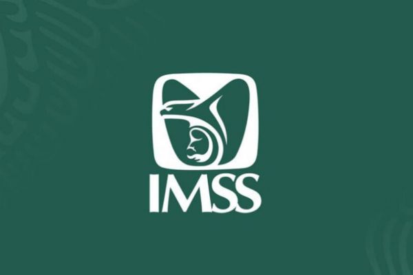 Testimonio de la Adquisición de equipo y mobiliario médico, 2019, por parte del IMSS