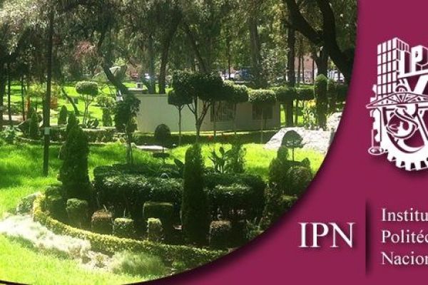 Testimonio de la Contratación del servicio integral de limpieza y jardinería, para el Instituto Politécnico Nacional